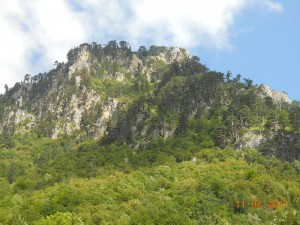 DSCN9359_resize