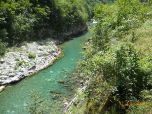DSCN9374_resize