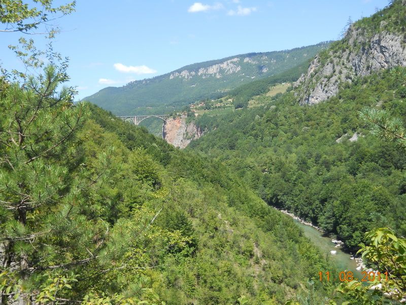 DSCN9391_resize