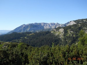 DSCN9435_resize