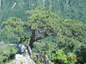 DSCN9476_resize