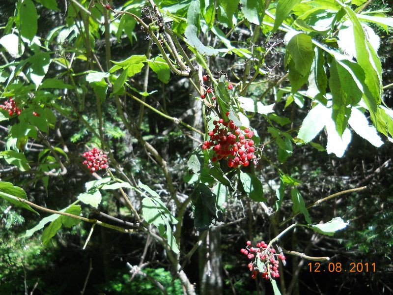 DSCN9479_resize