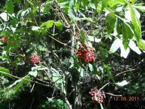 DSCN9479_resize