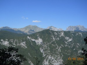 DSCN9535_resize