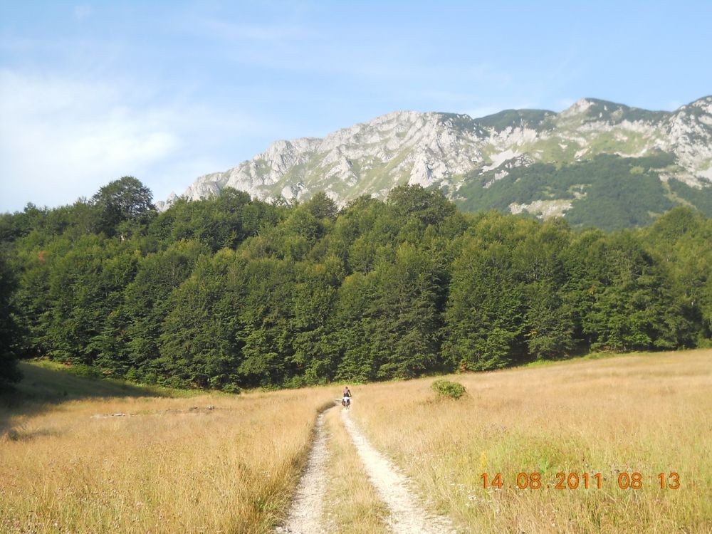 DSCN2701_resize