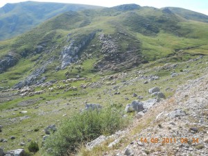 DSCN2714_resize