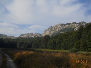 DSCN9591_resize