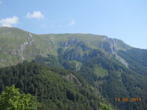 DSCN9629_resize
