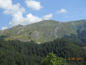 DSCN9630_resize