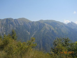 DSCN9635_resize