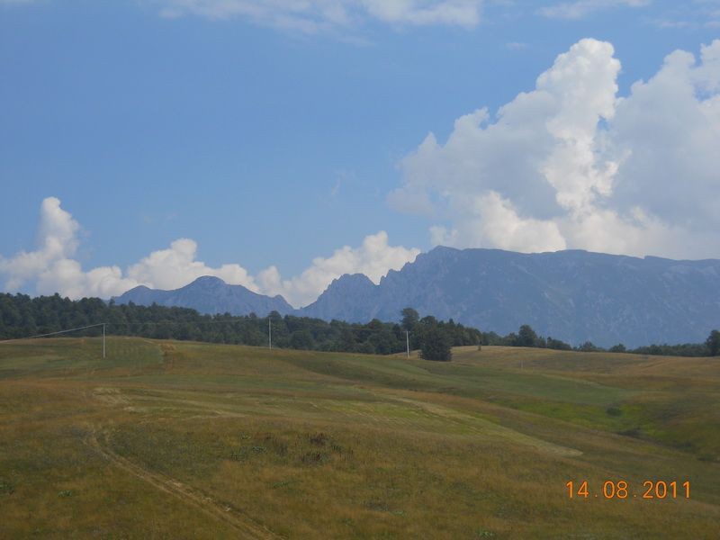DSCN9645_resize