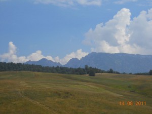 DSCN9645_resize