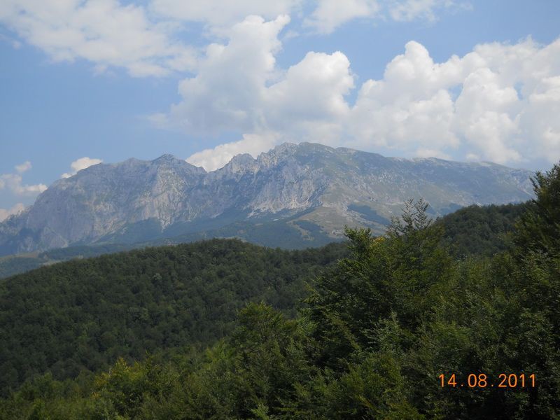 DSCN9651_resize