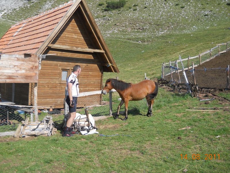 Horse whisperer