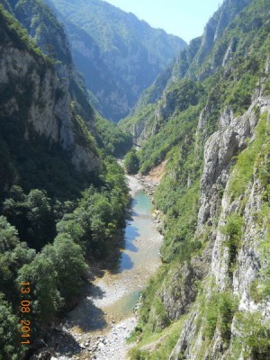 DSCN9554_resize