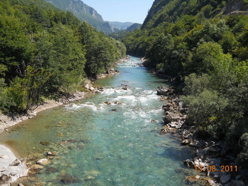 DSCN9555_resize