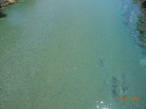 DSCN9559_resize