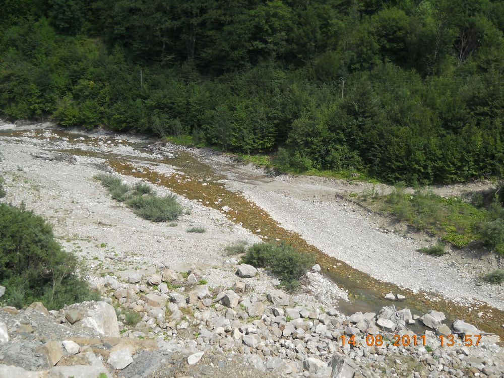 DSCN2739_resize