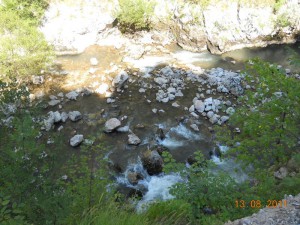 DSCN9564_resize