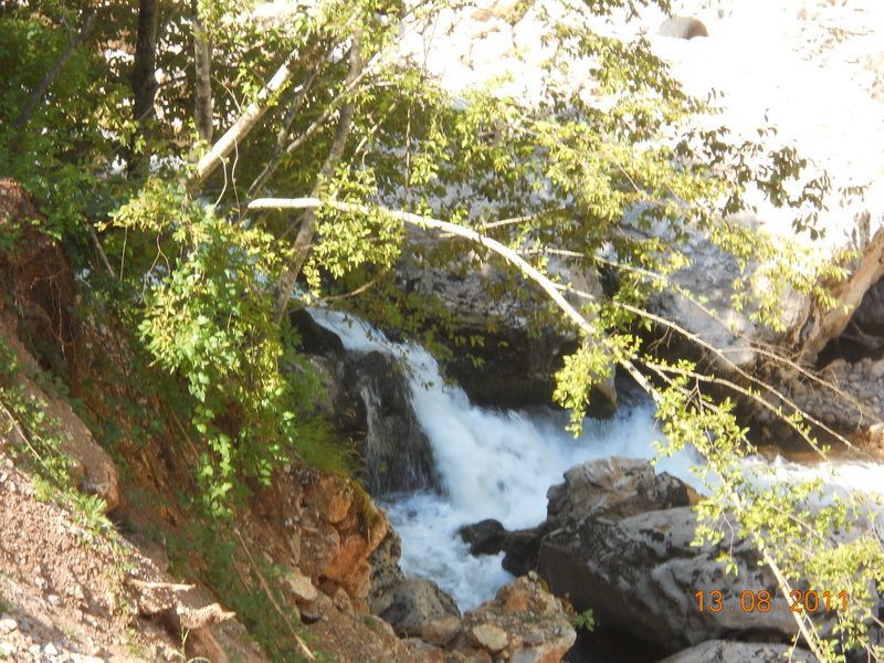 DSCN9568_resize