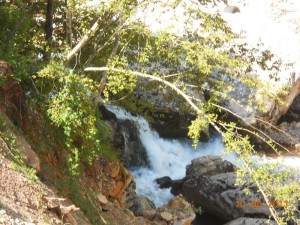 DSCN9568_resize