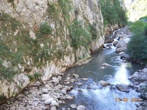 DSCN9570_resize