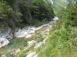 DSCN9665_resize