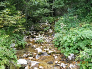 DSCN9680_resize