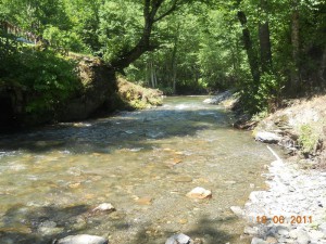 DSCN1726_resize