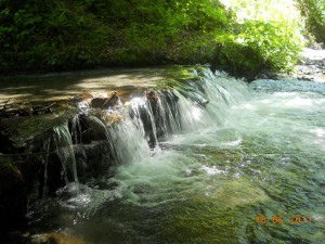 DSCN1728_resize