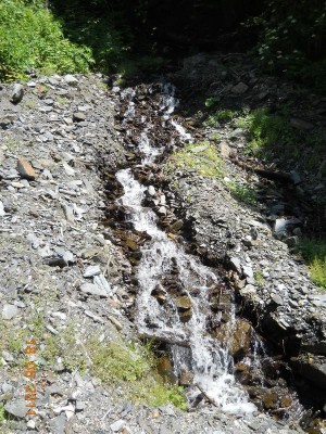 DSCN8171_resize