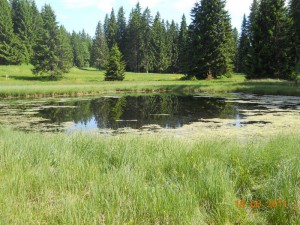 DSCN8226_resize