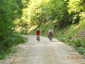 DSCN8239_resize