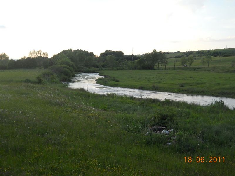 DSCN8297_resize
