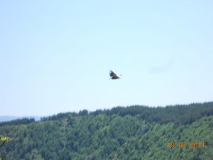 DSCN8501_resize