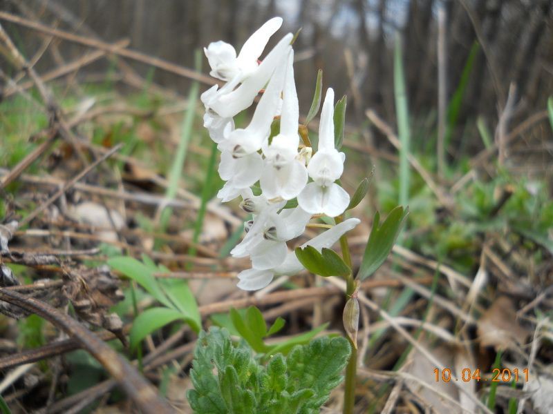 DSCN3704_resize