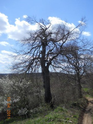 DSCN3711_resize