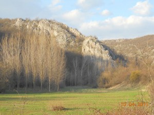 DSCN3772_resize