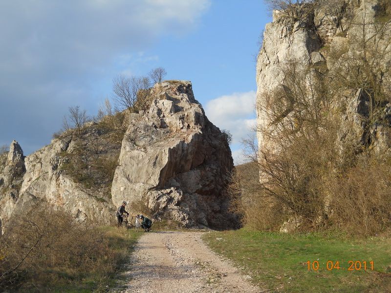 DSCN3773_resize