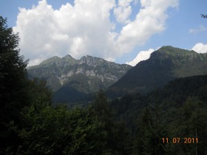 DSCN8673_resize