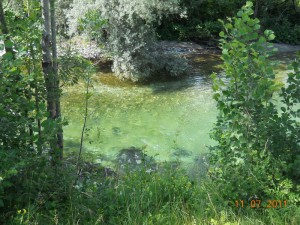 DSCN8711_resize