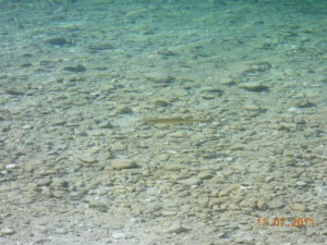 DSCN8739_resize