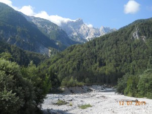 DSCN8793_resize
