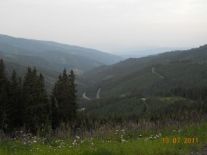 DSCN8855_resize