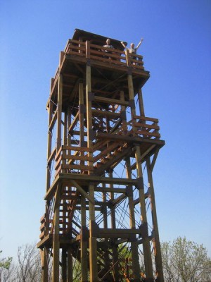 Vrsac 7