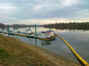Marina u Boljevcima 2