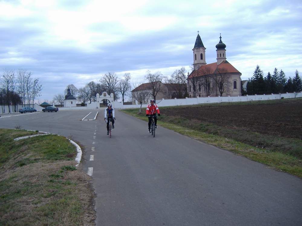 Picture 017