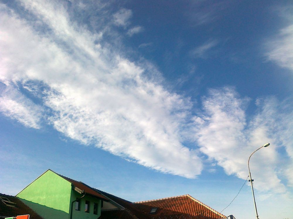 Ub 16 Decembar 2011 - 1