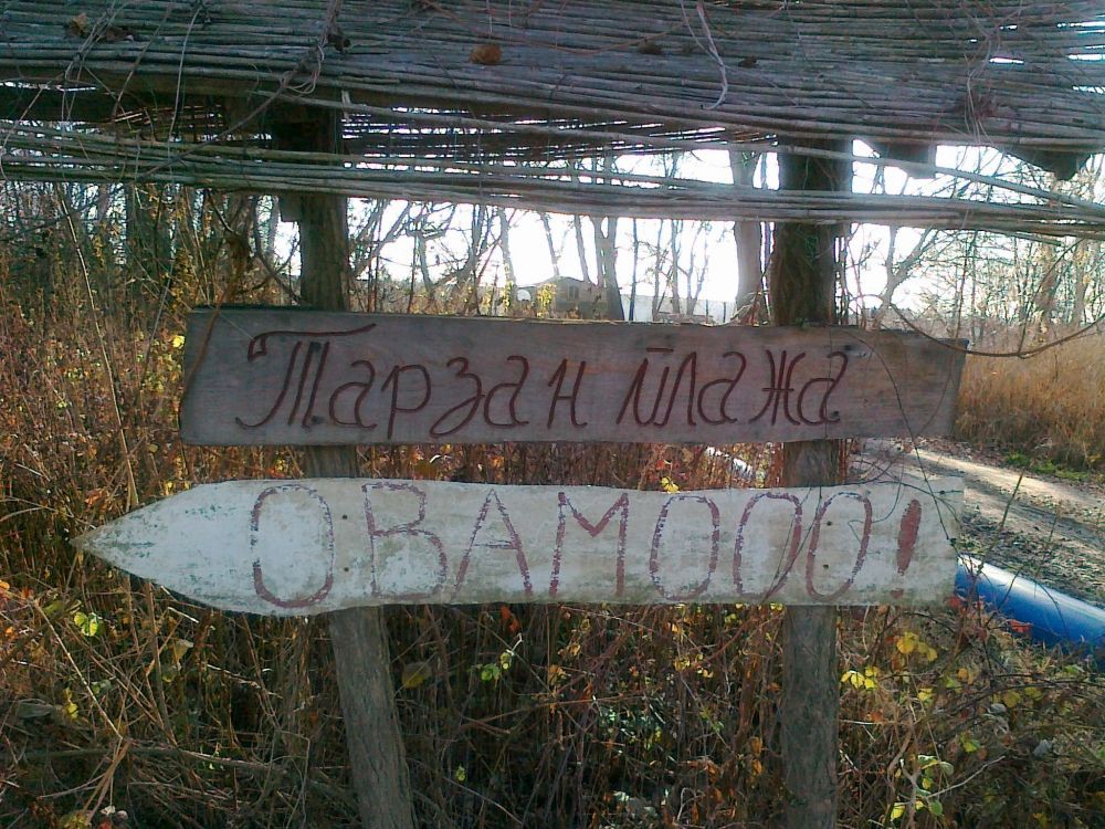 Tarzan plaza Progarska Ada