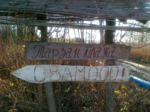 Tarzan plaza Progarska Ada